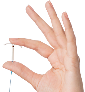 hand håller den lilla kyleenaen mellan tummen och pekfingret