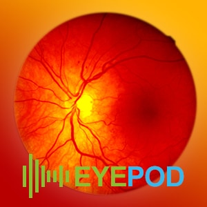 EyePod - Bakre segmentet